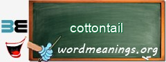 WordMeaning blackboard for cottontail